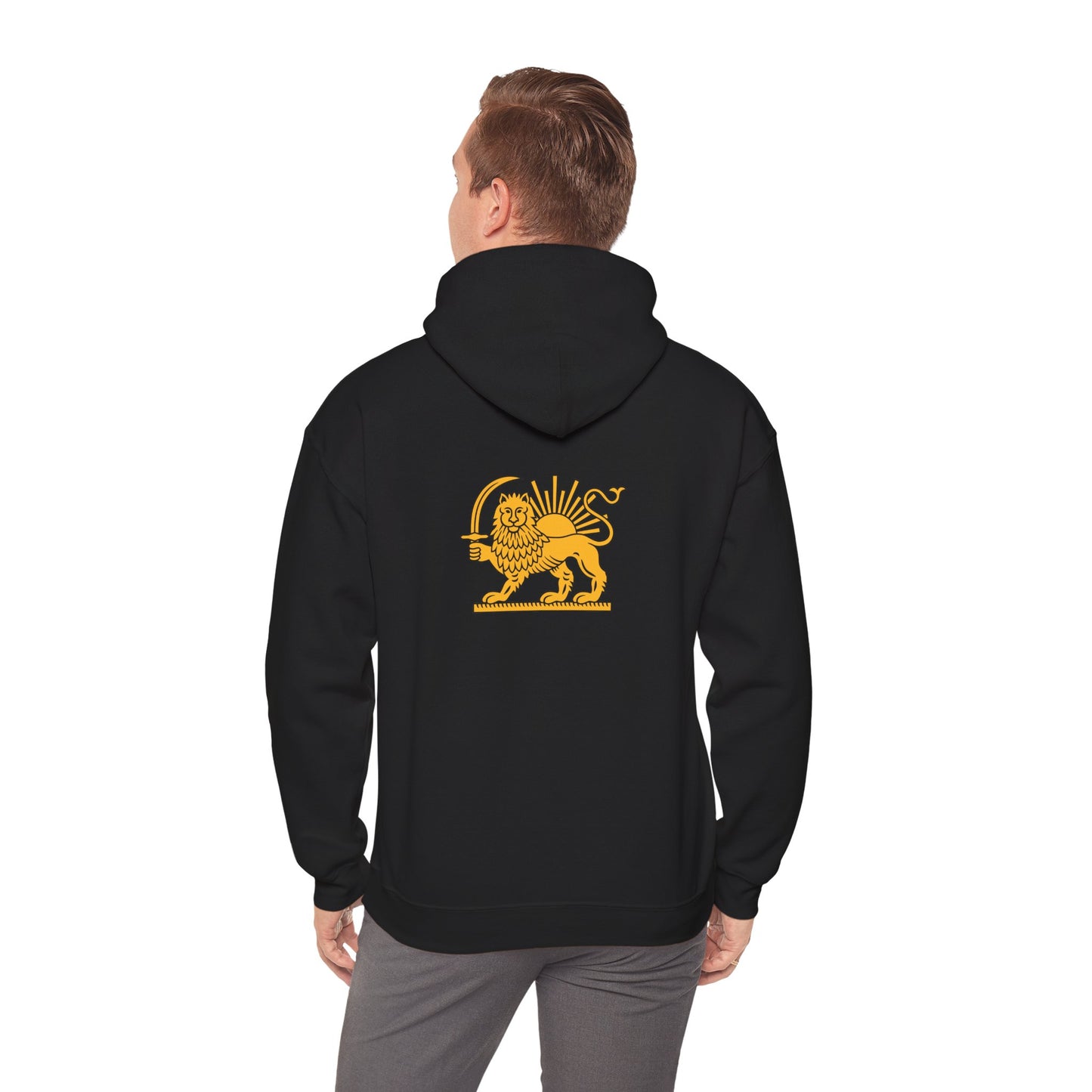 Make Iran Great Again Hoodie — Lion & Sun Persian Pride Hoodie